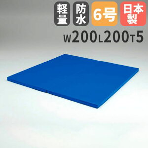 yP5{9/15 13-15&ő1~N[|9/15z y@lz܂蓊ݗK}bg 2×2 200×200×5cm _p}bg ݃}bg |GXehz g[GCCg T1831 T-1831