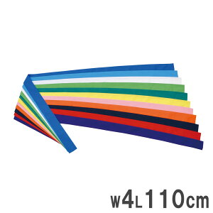 yP3{11/1 13-15&ő1~N[|11/1z n`}L g[GCCg 4×110cm ͂܂ J[n`}L oh ^  ^ J[  ̈ wZ X|[c i |GXe B2082 B-2082