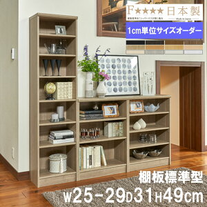 I[_[{I 25-29×s31×49cm W VFt  I I[vbN ubNVFt  k I[_[Ch TCYI[_[ Y 5025-29R