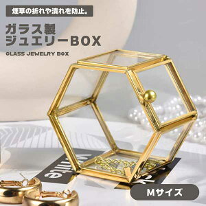 y[ŃANZT[CeAɁzWG[{bNX KX MTCY Zp` ANZT[P[X Os[ [  킢 