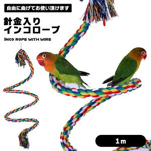 CR[v CR  1m [v z ~܂  o[hAX`bN IE  p uR  [vp[` Vя j tbNt 