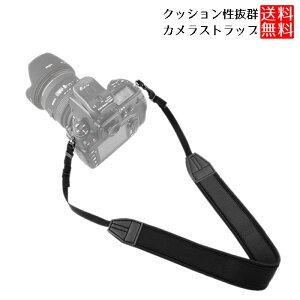 yւ̕SINbVfށz J lbN Xgbv ჌t ~[X