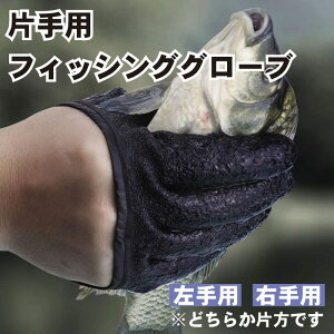 ykk̋SKb`͂ށztBbVOO[u ͂ hn ~ Ўp ނ  }Olbg[T[t  S ނ  A[ GMO 