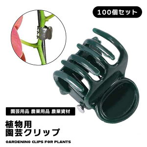 yg}g◖ DxzUNbv 100Zbg |Nbv xNbv s x K[fjO U | _ 