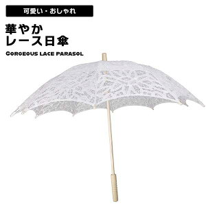 P [XP [Xp\ P BeP P hJ[X [X̉ ̎q  EFfBOp[eB[ uC_  _X 䓹 ʐ^ }`bN RXv  p