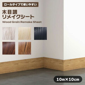 CNV[g [^Cv ؖڒ g₷ 10m ȔS V[  DIY CeA [ Ƌ  tH[ rO Lb` fUC ȃXy[X ȒP\t 