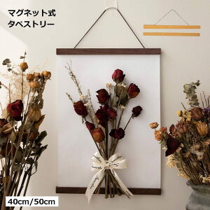 y|X^[ʂz^yXg[ _ }Olbg ؐ 40cm 50cm |X^[t[ ʂ |  k Ǌ| CeA Ebht[ 