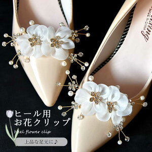 ypvX؂₩ɕϐgzV[YNbv 2Zbg  RT[W   p[eB[ pvXNbv  C ANZT[ 