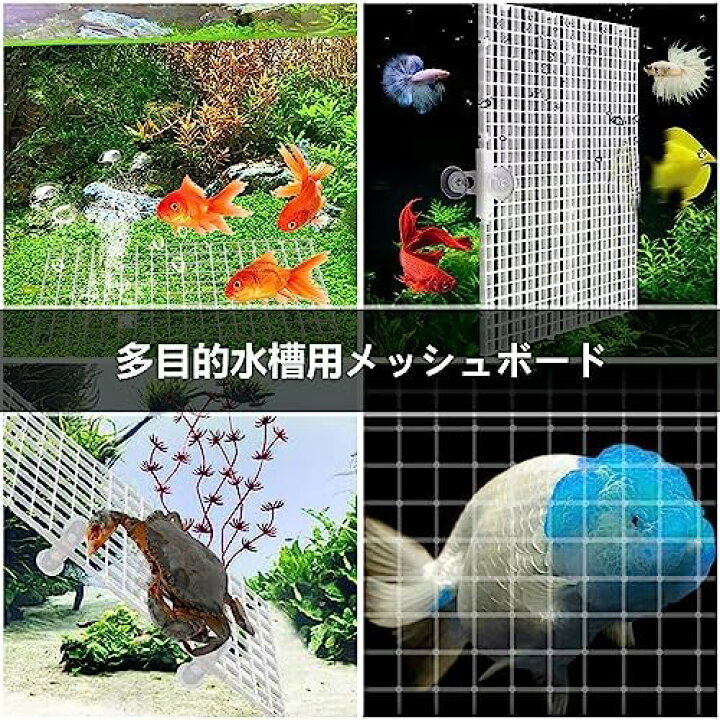 楽天市場】水槽 仕切り 3個セット 水槽用仕切り 30×15cm 水槽 