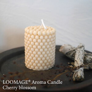 A}Lh `F[ubT x[W t[  \CLh 낤  CeA  bNX NX}X  v[g Mtg a ca-003