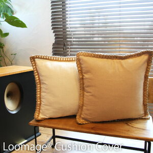  NbVJo[ 45×45cm x[W  k C AWA Vv n 􂦂 VbN Cc-016