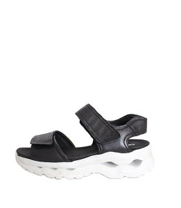 ʒJ[@Y@CallagHanJn@43900@_[NlCr[@U[T_ RtH[gT_ _bhT_ X[XU[