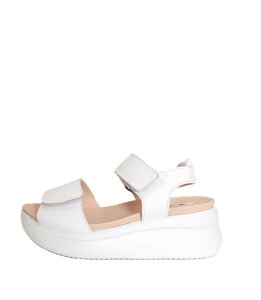 ʒJ[@fB[X@CallagHanJn@29901@zCg@T_@vbgT_@RtH[gT_@X[XU[@₷@RtH[gV[Y@XyC