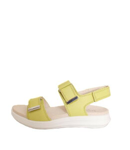 legeroWF@388@O[CG[@tbgxbhT_@T_@RtH[gT_@XgbvT_@X[XU[@₷@