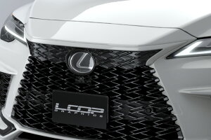 AbNXO LEXUS RX500h/RX350 F SPORT (LA/LHn) p tg OJo[iNTX FX|[c F-SPORTS XshO GAp[c {fBp[c {fBLbg O p[c hXA