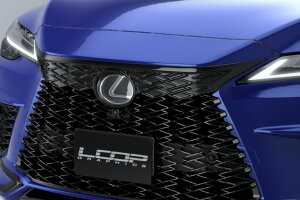 �A���b�N�X�O���� LEXUS RX500h/RX350 F SPORT (LA/LH�n) ��p �t�����g �O�����J�o�[�i���N�T�X F�X�|�[�c F-SPORTS �X�s���h���O������ �G�A���p�[�c �{�f�B�p�[�c �{�f�B�L�b�g �O�� �p�[�c �h���X�A