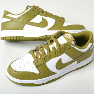 NIKE DUNK LOW RETRO iCL _N [ g Y Xj[J[ zCgXO[ dv0833-105