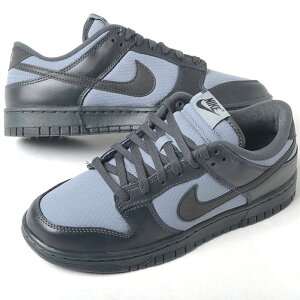 NIKE DUNK LOW RETRO SE iCL _N [ g Y Xj[J[ ubNO[ fz3052-001