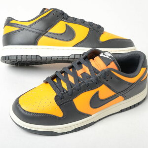 NIKE DUNK LOW PRO iCL _N [ v Y Xj[J[ IW_[NO[ hf5441-700