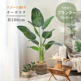 【最大半額＆7%OFFクーポン】観葉植物 大型 フェイクグリーン オーガスタ 南国風 H180cm 鉢付き リーフ インテリアグリーン 人工樹木 アーティフィシャルグリーン おしゃれ ポット 人工観葉植物 造花 店舗 モデルハウス オフィス お祝い 開店