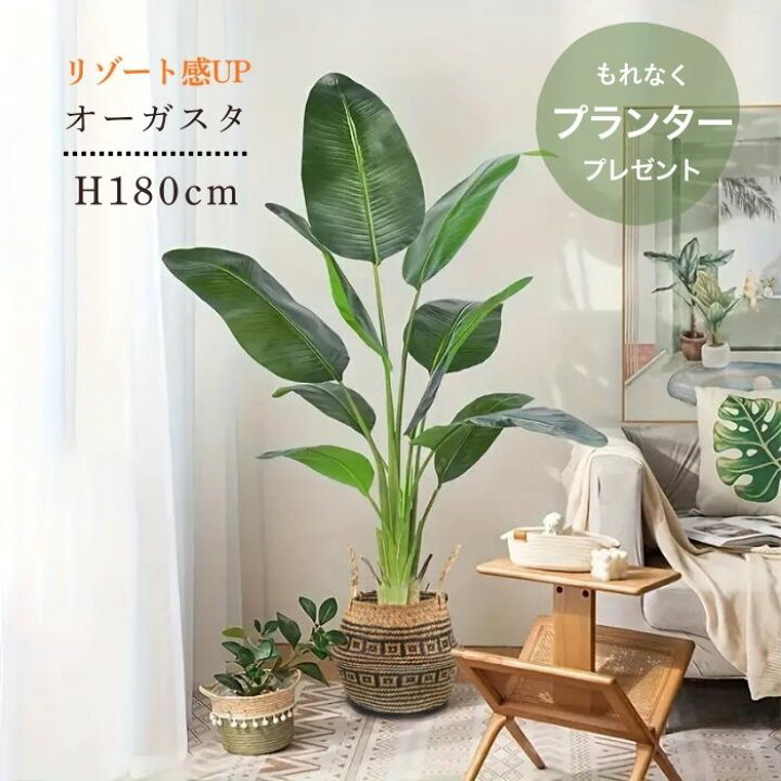 楽天市場】観葉植物 大型 フェイクグリーン オーガスタ 南国風 H180cm 