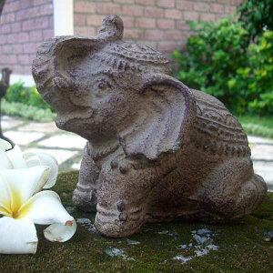 yő1~N[|ցz˂pI[ AWA o G Ƌ AWAƋ CeA  u  Α Vzj v[g LOOP a _ ][g j hV