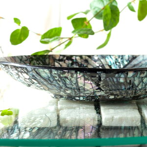 VFg[ I[oy46986z AWA o u gC _  G Lk  bN GXjbN [ ][g VF ANZT[ IuWF ANZT[g[ 