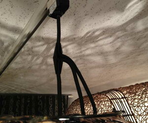 y5%ItN[|ցzR[hAWX^[ AWAƋ AWAG Cg Ɩ CeA LOOP ][g AWAeCXg Ɩ y_gCg VƖ CeAG y48285