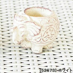 yő1~N[|ցzCZXX^h CZXz_[ XeBbN   Ch ]E  u 킢  IuWF AeB[N LhX^h 낤 