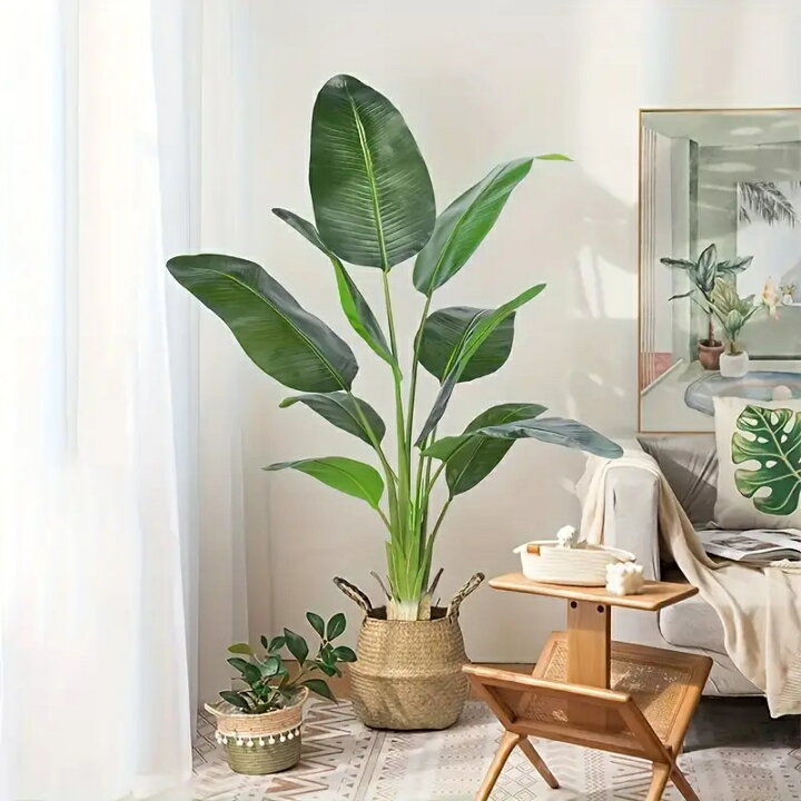 楽天市場】観葉植物 大型 フェイクグリーン オーガスタ 南国風 H180cm 
