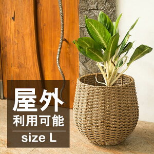 yX[p[SALEXő30%OFFzv^[Jo[ v^[ O y Aؔ K[fjO     y ^ 킢 12 C G AWAG AWA o ][g