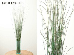 y5%ItN[|ցzJtfBr[Y RRibc̃IuWF AWAG  p[eBV ؐ Ԏd؂ Ebh i` T  a _ yBeAds-lidiz K[f