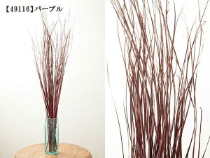 yő1~N[|ցzJtfBVv RRibc̃IuWF _  A u  GXjbN ][g AWAoG o gC a a_ ԍ t