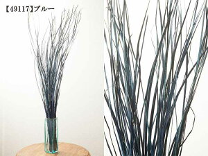 yő1~N[|ցzJtfBVv RRibc̃IuWF _  A u  GXjbN ][g AWAoG o gC a a_ ԍ t