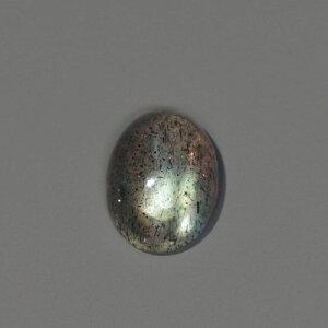 uhCg1.15ct b-2121-1ΐ̃V[̓uhCg̓ŁAw\ ̊Ɠ̌ɂ锽˂AzIV [𕂂яオ点ČɂĂ͎F 