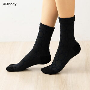 ~bL[ ~c} t[g N[\bNX  23-25cm fB[X C fBYj[  fk-300-24n5-090