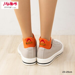  JVt@[d hJ Xj[J[\bNX IW 23-25cm fB[X C nE̓ X^WIWu fk-334-24f1-400