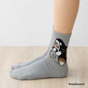 mofusand �V���` �y���M�� ���[�N���[�\�b�N�X 23-25cm �O���[ ���f�B�[�X �C�� ���t�T���h �l�R wi-msl653001