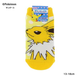 yLbYz|PbgX^[ T_[X hbg CG[ 13-18cm Xj[J[\bNX |P X[vlbg sp-pm1470j