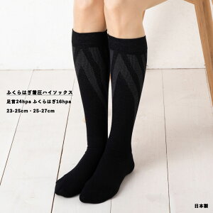 ifan ӂ͂nC\bNX ȑf 23-25cmE25-27cm { iK CC_C id-ntrs-04