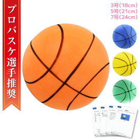 【在庫あり2営業日以内発送】正規品 サイレントボール サイレントバスケットボール 7号 直径24cm サイレントボール バスケ サイレント ボール サイレントボール ドリブル 室内遊具 自宅 室内用 騒音防止 練習用ボール 子供用ボール トレーニング スポーツ玩具 安全 静音