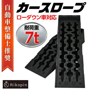 y [z7T J[X[v ^ ubN ^ԁEoXEgbNΉ 2Zbg pX[v [_EԑΉ WbLAbv⏕ J[X[v ^CX[v 908×303×220mm