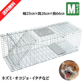 【クーポンで最大2000円OFF】 動物捕獲器 動物捕獲檻 猫 アニマルトラップ Mサイズ 66cm×26cm×23cmトラップ 箱罠 イタチ 駆除 捕獲 踏板式 捕獲機 動物 小動物 子猫 罠 鼠 保護 庭 畑 餌 アニマルキャッチャー