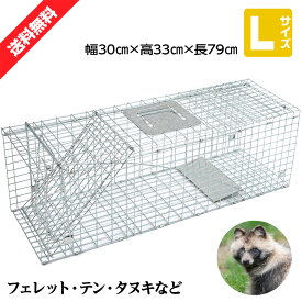 【クーポンで最大2000円OFF】 動物捕獲器 動物捕獲檻 猫 アニマルトラップ Lサイズ 79cm×32cm×28cmトラップ 箱罠 イタチ 駆除 捕獲 踏板式 捕獲機 動物 小動物 子猫 罠 鼠 保護 庭 畑 餌 アニマルキャッチャー