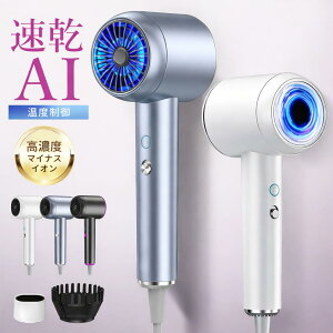 �h���C���[ ���� �啗�� 1300W AI���[�h �w�A�h���C���[ �ቷ���� �}�C�i�X�C�I�� �����h���C���[ �w�A�[�h���C���[ �_���[�W ��M�� �y�� �ᑛ�� ���e�Ɠd �R���p�N�g �w�A�P�A �������P �P��