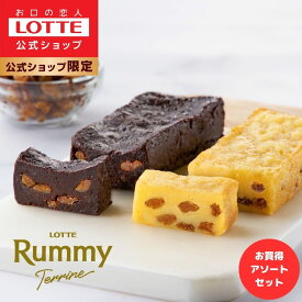 【ロッテ公式】ラミーテリーヌ 食べ比べ アソートセット | ケーキ チョコ チョコレート ショコラ テリーヌ スイーツ 濃厚 レーズン ギフト プチギフト プレゼント 手土産 福袋 父の日 ちちの日