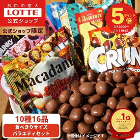 【ポイント5倍！9日20:00〜16日1:59まで】【ロッテ公式】食べきりサイズチョコ バラエティ セット | 詰め合わせ チョコ チョコレート お菓子 かわいい 大量 小分け 小袋 個包装 プレゼント ギフト プチギフト 福袋 2026 バレンタイン