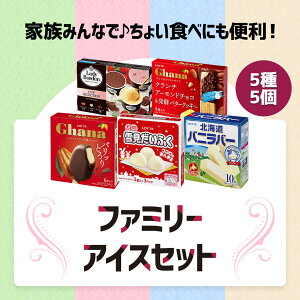 ybezACXN[ t@~[Zbg | ACX ܂Ƃߔ lߍ킹 ߂킹 A\[g   Mtg  2025 NX}X