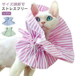 qL lR pPA Lp GUxXJ[ _炩 X^C p  ȒP 킢  TCY t p ~h~ ی rߖh~ ybgp  \tg  z 