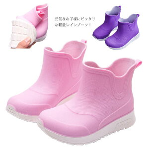 Cu[c LbY CV[Y JC qCV[Y 4F qC j̎q ̎q AEghA Lv V[g h ~ ʊw ~J΍